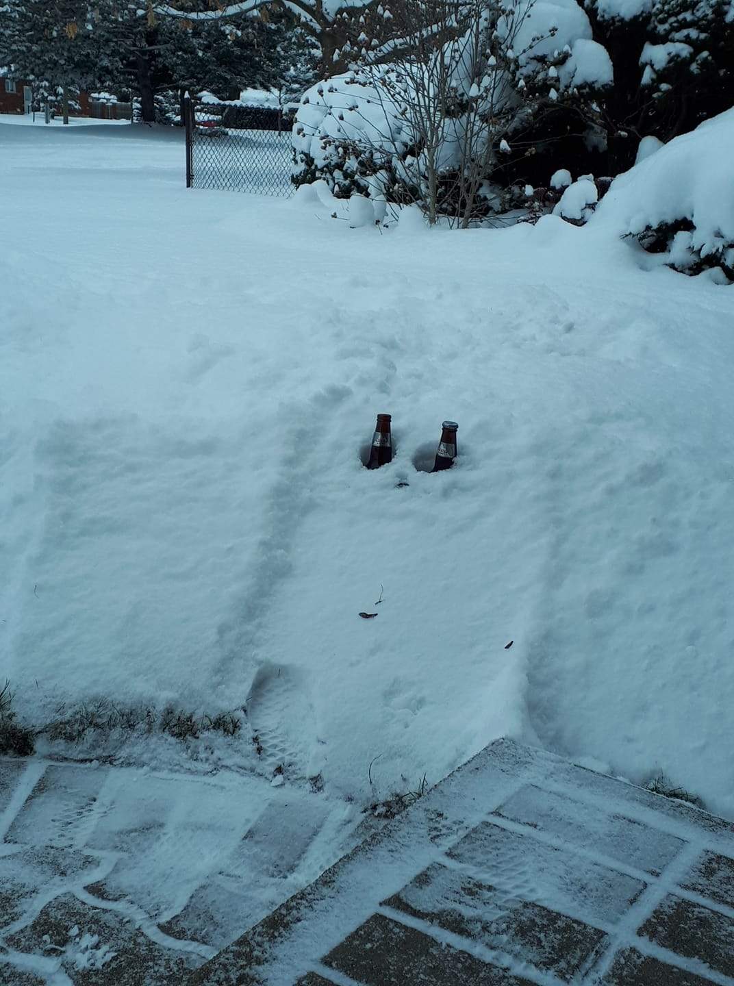 Beers chilling in the snow in London, Ont.