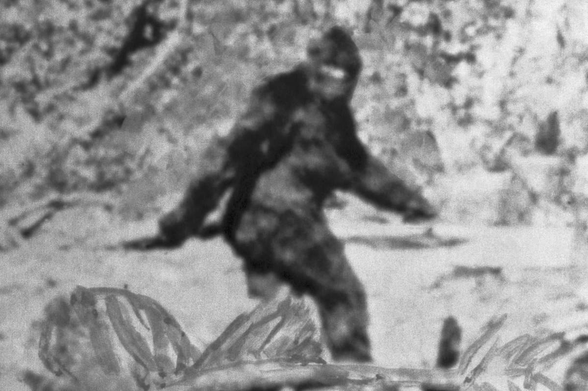 An alleged 'Bigfoot' is shown in this file photo.