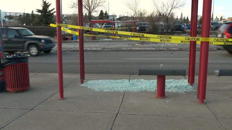 Two bus shelters on Centre Street North in Calgary’s Beddington community are destroyed.