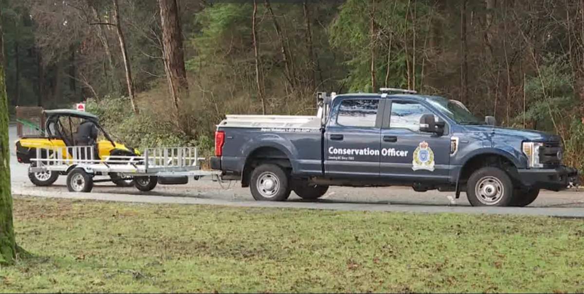 The B.C. Conservation Officer Service is seen searching for an aggressive coyote in Stanley Park on Friday, Jan. 22, 2021. 