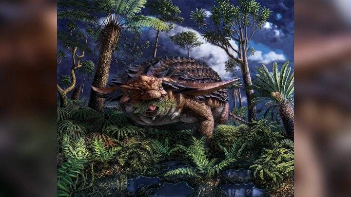 Borealopelta markmitchelli had two large spines protruding from the shoulders.