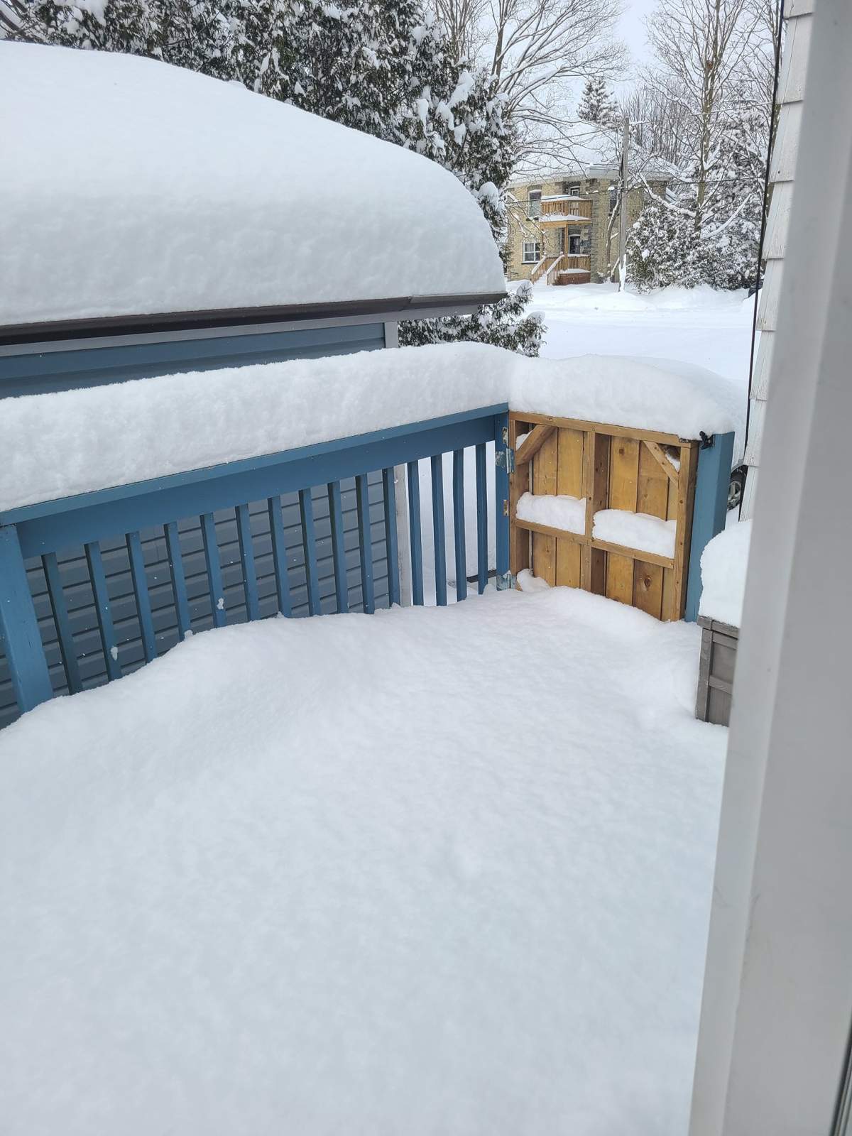 Snow in Hensall, Ont., on Jan. 29, 2021.