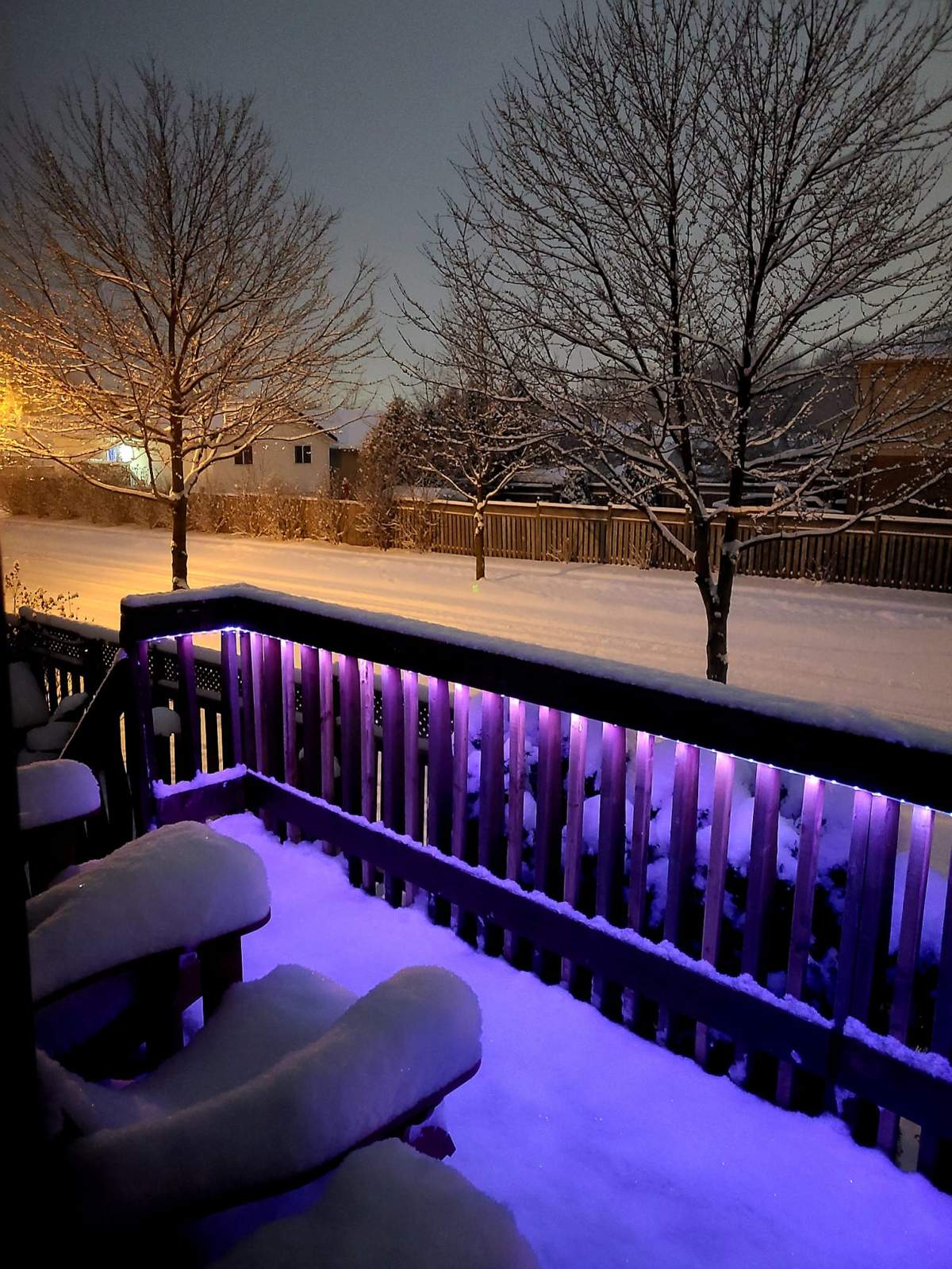 Snowfall in London, Ont.