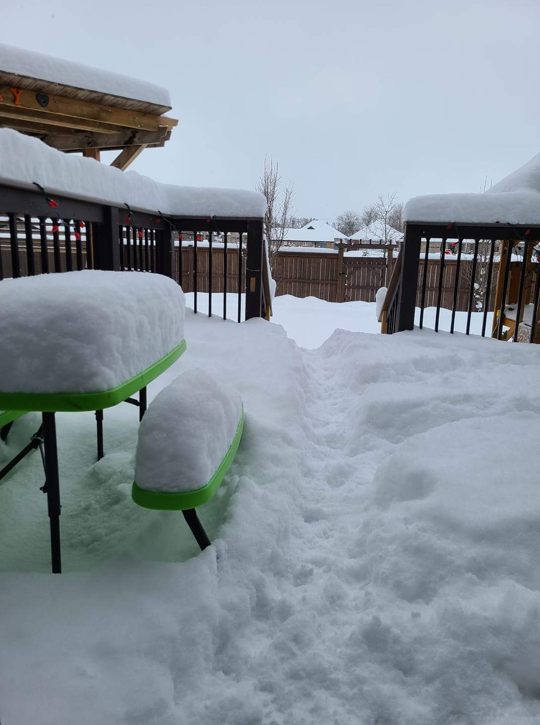 Snowfall in Lucan, Ont.