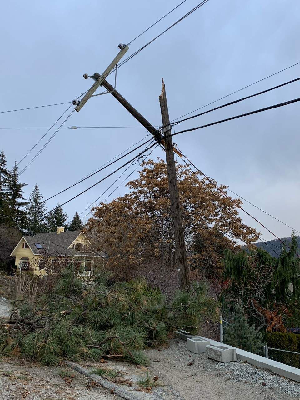 Power lines are toppled over along Westside Road near Traders Cove in the Okanagan.