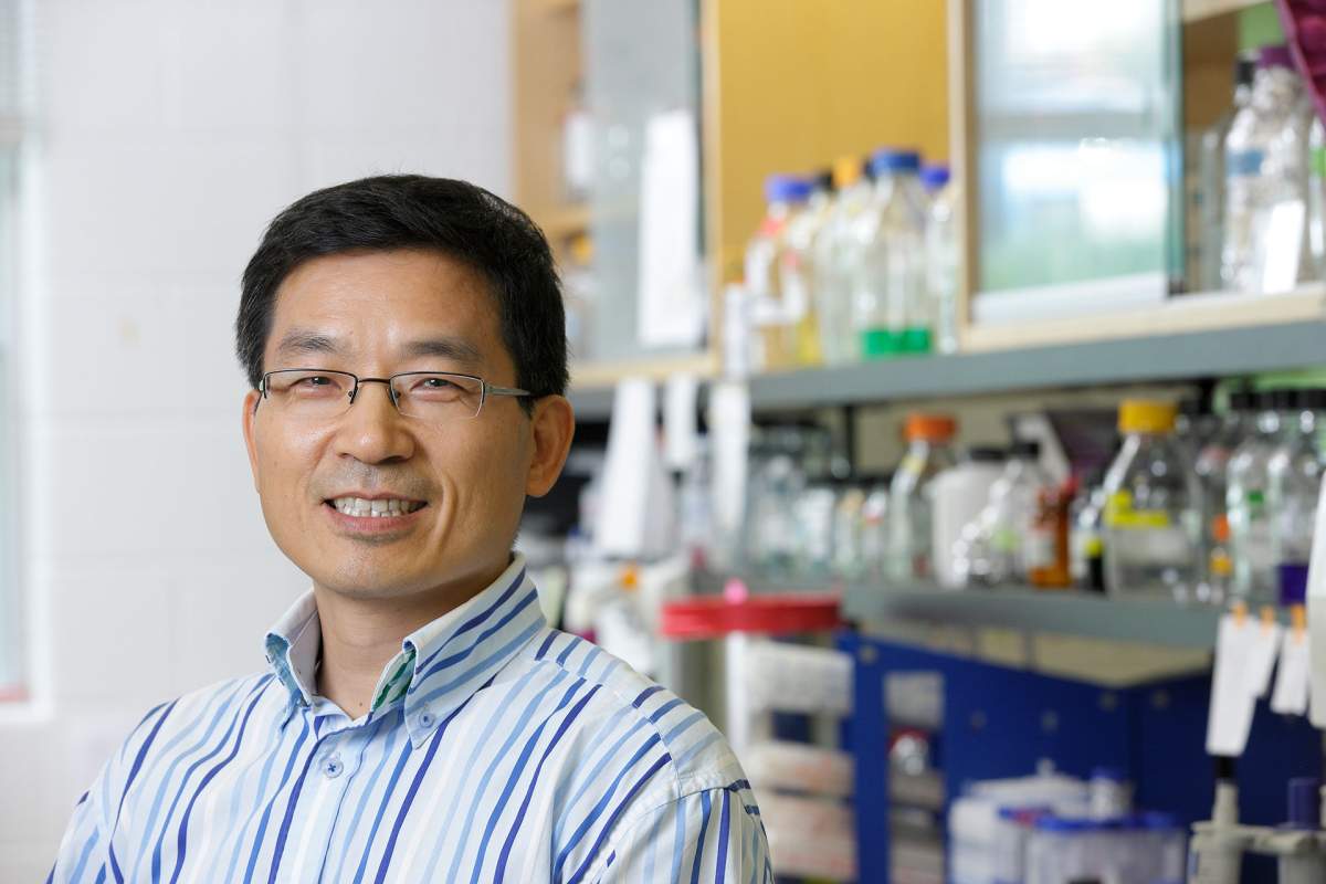 Western University professor Shawn Li.