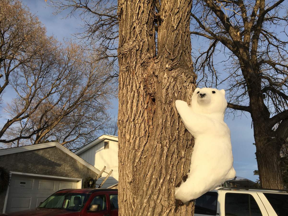 One of the Barrington Avenue bears.