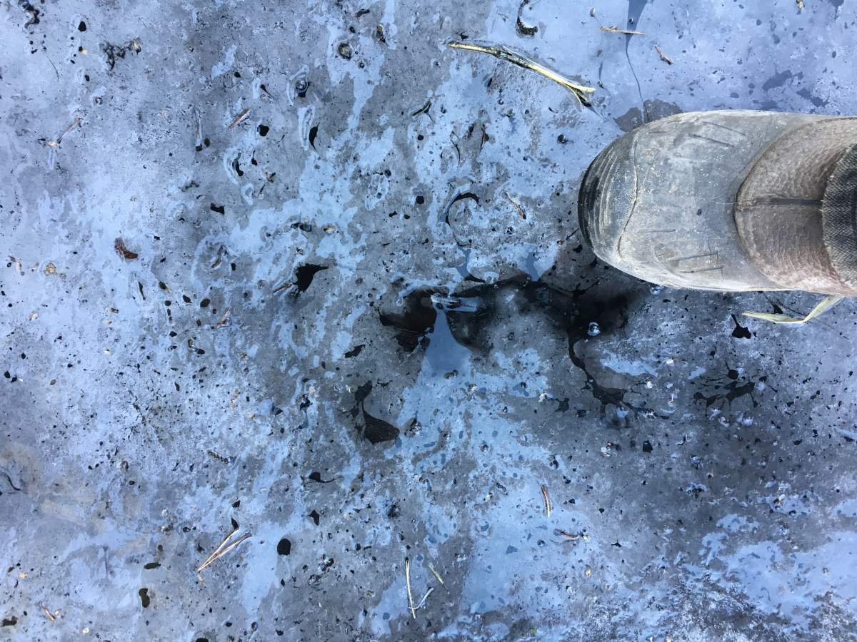 Black substance on ground near property.