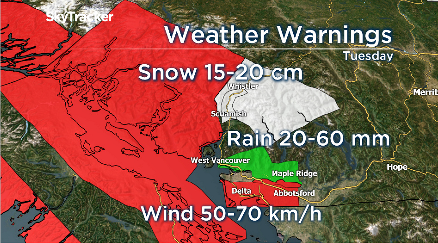 Another storm to hit B.C., bringing heavy rain and strong winds - image