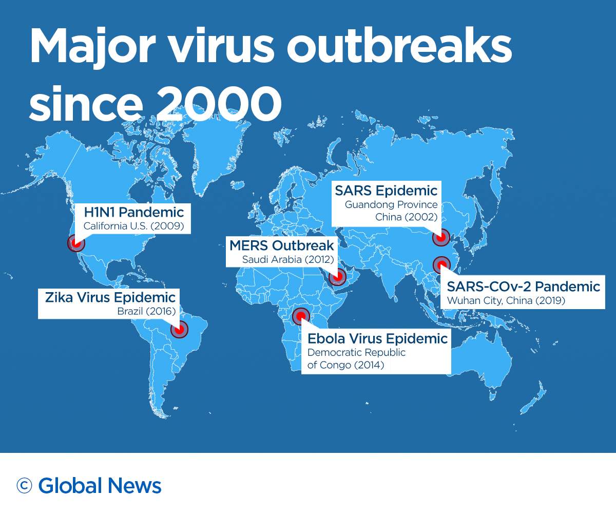 One year into COVID-19, a look at when and where the next pandemic could emerge - image