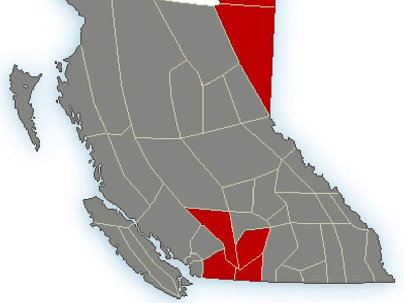 Environment Canada has issued a near-province-wide special weather statement calling for sudden temperature drops because of incoming Arctic air.