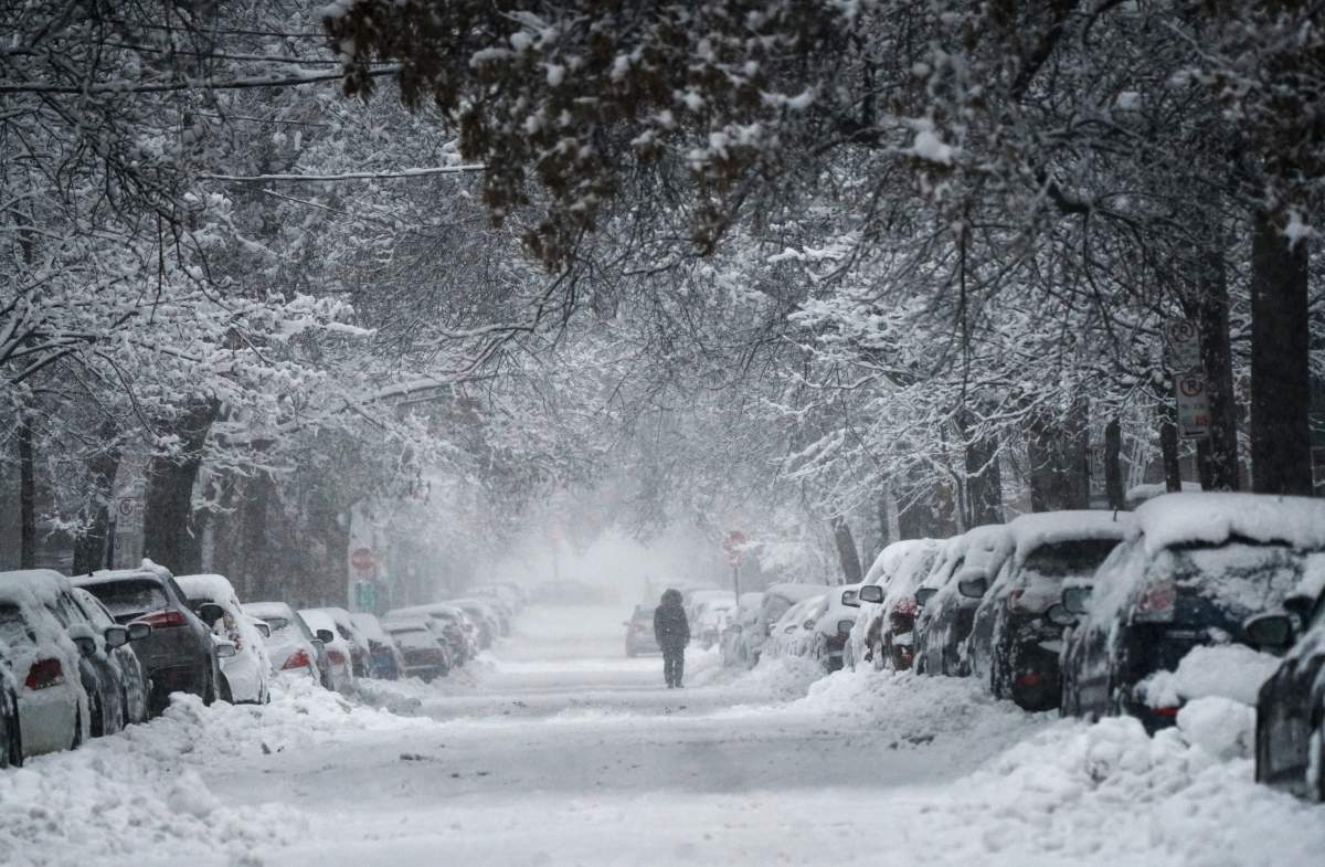 snowfall snow winter