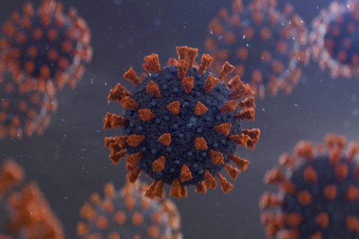 Provincial lab results show most of the 70 infections in Saskatchewan caused by more transmissible strains of the novel coronavirus have been in the Regina area.
