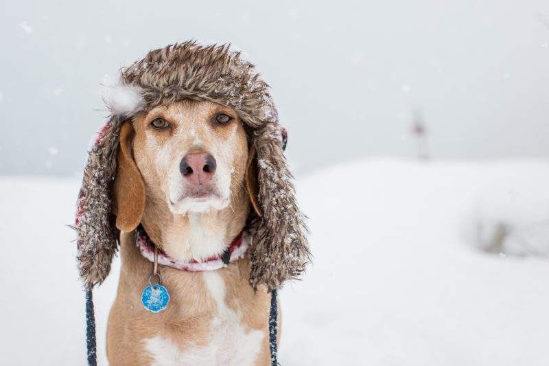More snow and cold temperatures are on the way for the Edmonton area.