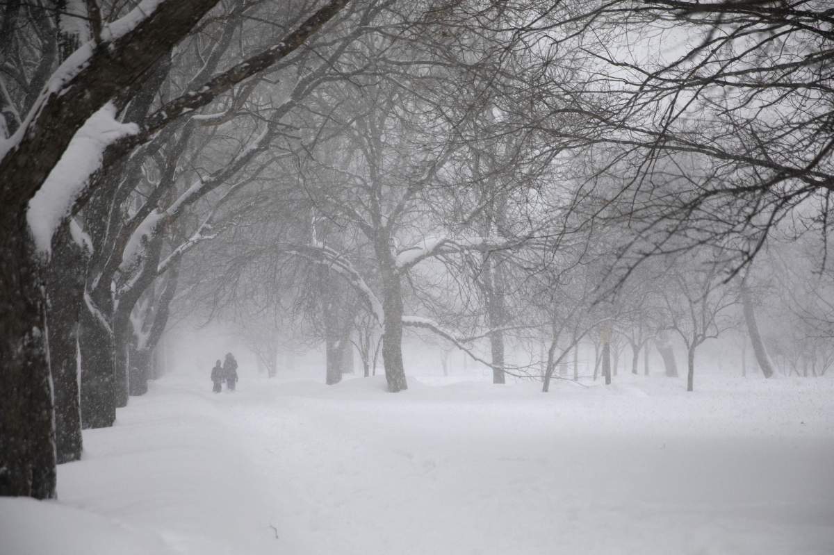 Early Thursday morning snow is expected across Saskatchewan.  