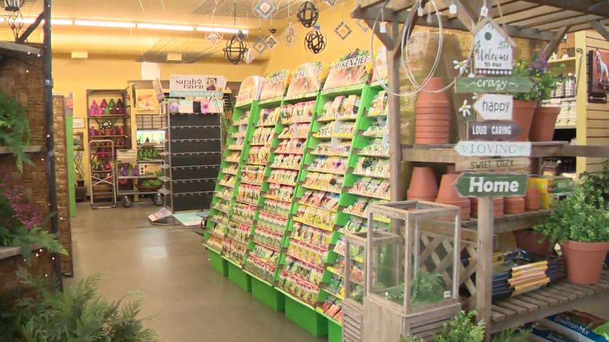 Seeds on display at Classic Landscapes in south Edmonton on Tuesday, Feb. 9, 2021.