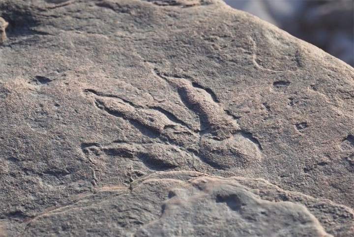 A dinosaur footprint is shown on the beach near Bendricks Bay in south Wales in this January 2021 image.