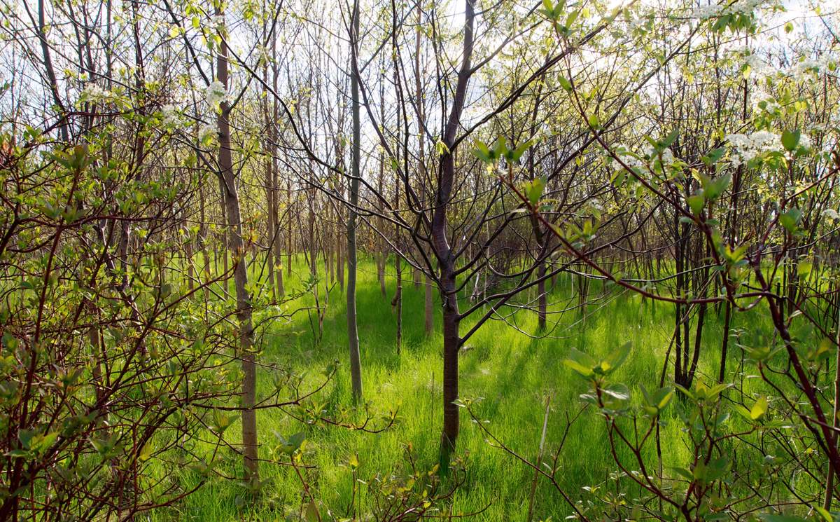 The proposed additions would include areas around the Don River, Duffins Creek and the Galt Paris Moraine.