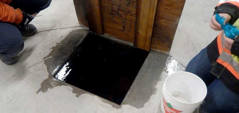The wooden drain cover where the frogs were discovered.