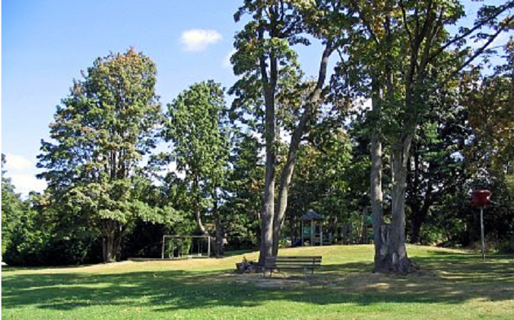 The Vancouver Park Board says someone spray painted racist graffiti on multiple trees in Riverview Park on Saturday. 