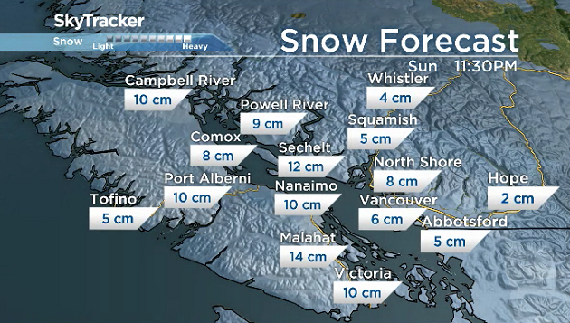 Snow blankets B.C.’s South Coast, with more to come - image