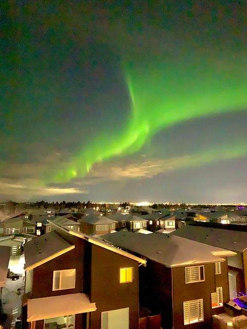 A shot of the northern lights taken the evening of Feb. 6, 2021, in the Edmonton neighbourhood of Windermere.