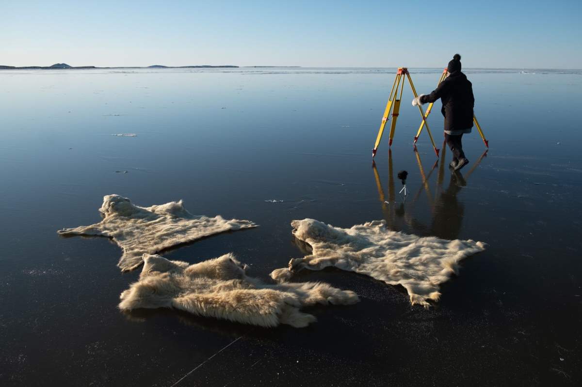 Tuktoyuktuk artist Maureen Gruben collects fur, bones and other raw materials from the Arctic, often incorporating them with industrial elements.