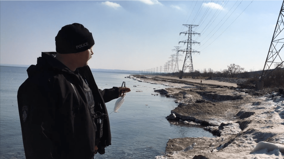 Hamilton police marine unit Const. Bob Young says ice shelves are "picturesque" but also potentially dangerous.