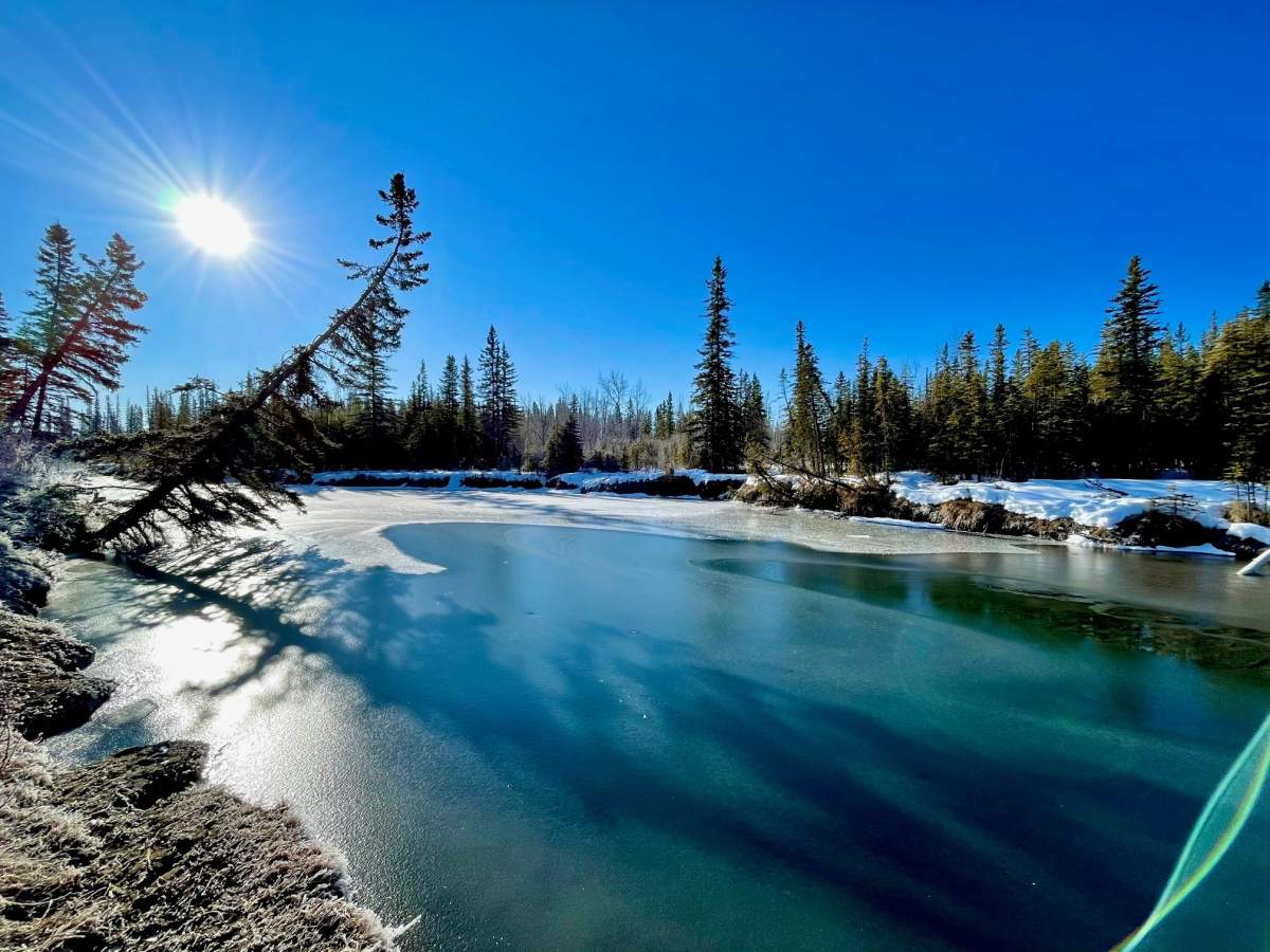 Along the banks of the Elbow River in Calgary.