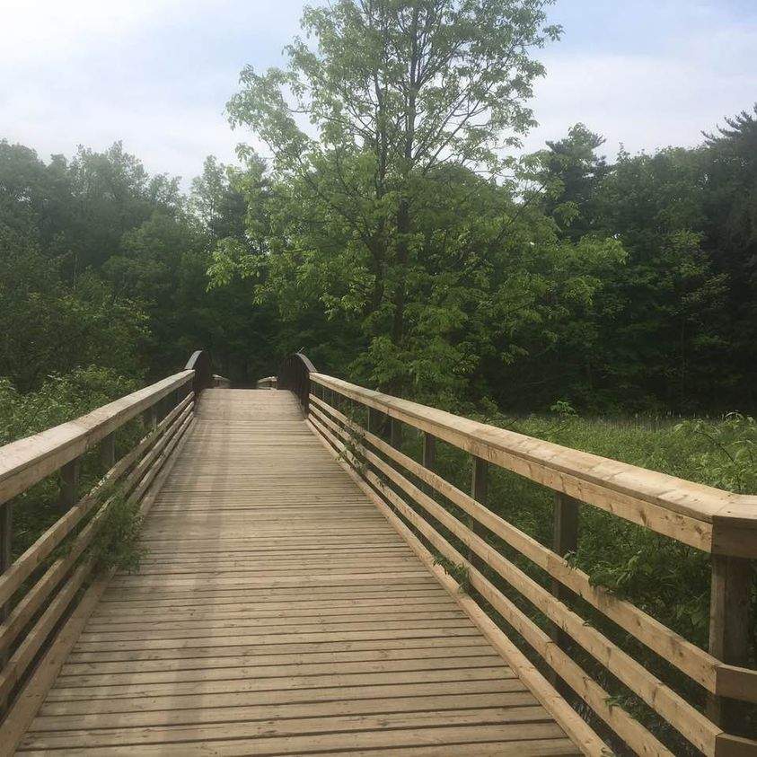The RBG has issued its annual request for donations of real trees to help rebuild the banks of Grindstone Creek.