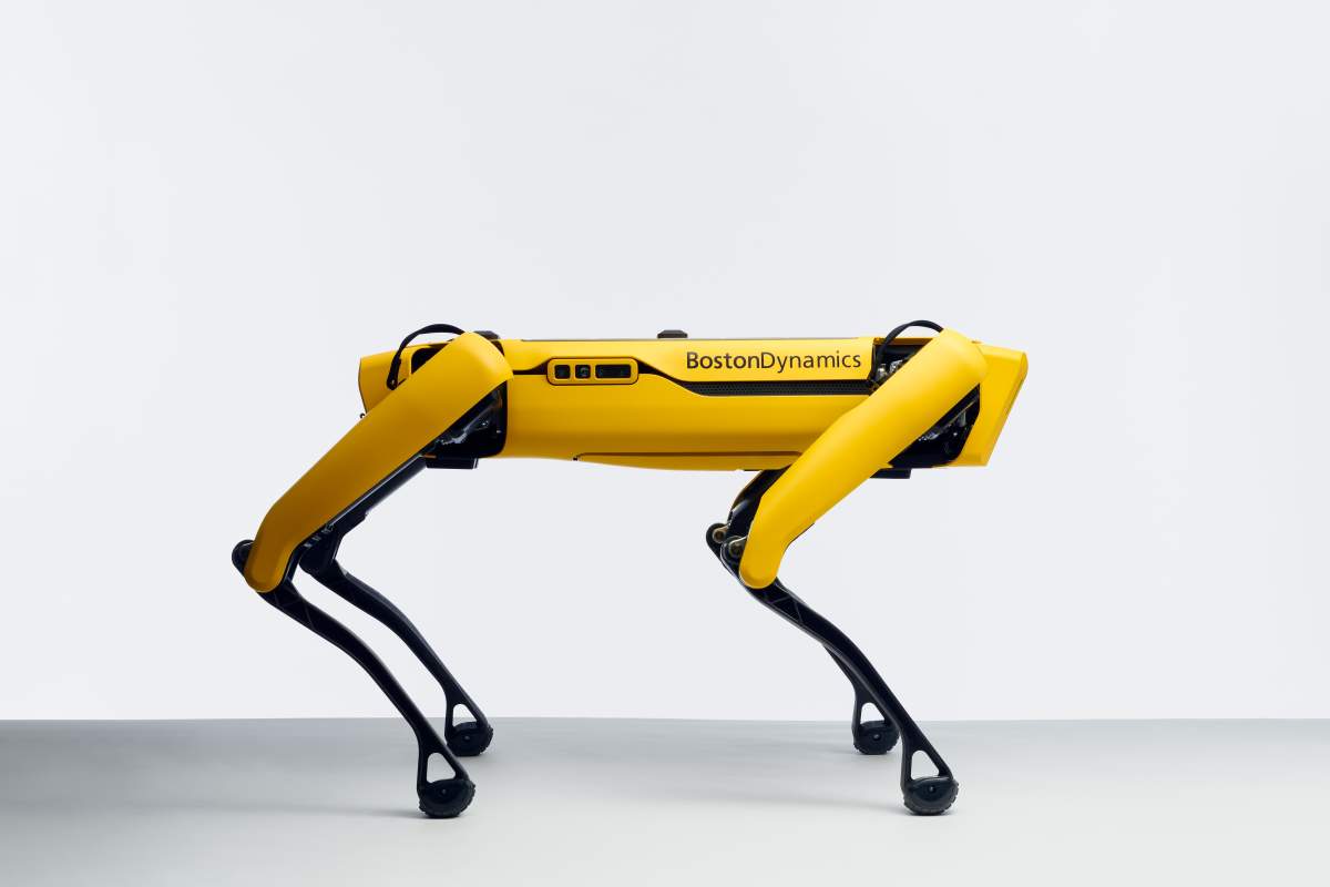 A file handout photo of Spot, Boston Dynamics’ robot dog.