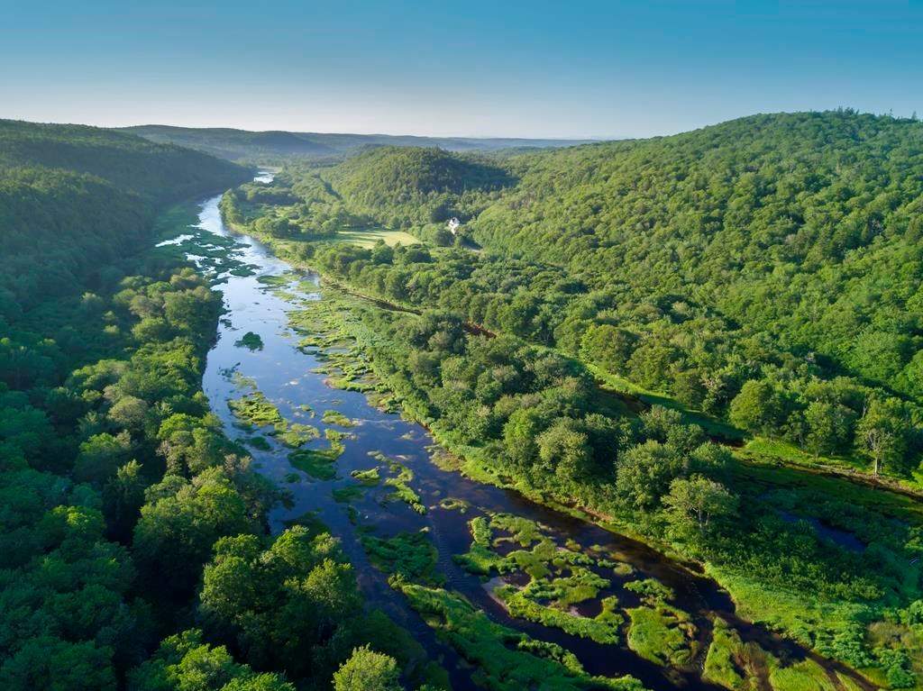 Nova Scotia tables revised biodiversity bill, modifications to Crown Lands Act - image