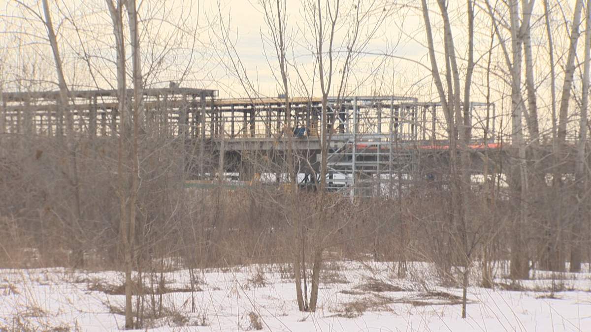 Future REM site looms in the distance as future development is planed for the wooded area.