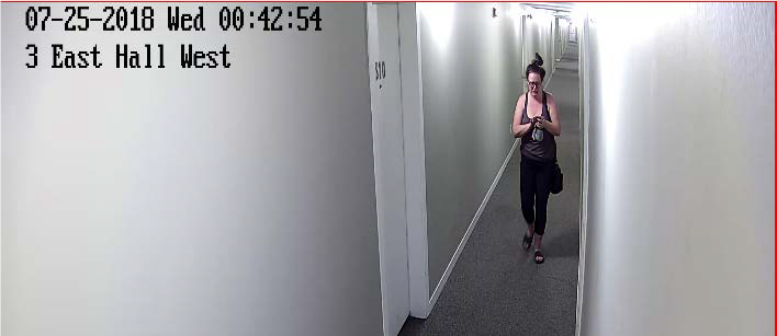 Sentencing decision reserved for Calgary man who killed girlfriend, mother and stepfather - image