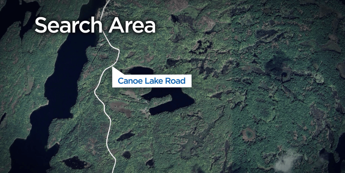 OPP find toddler missing in eastern Ontario forest for over 3 days ‘alive and well’ - image