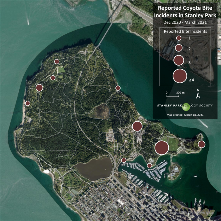 A map outlining where biting incidents have taken place.