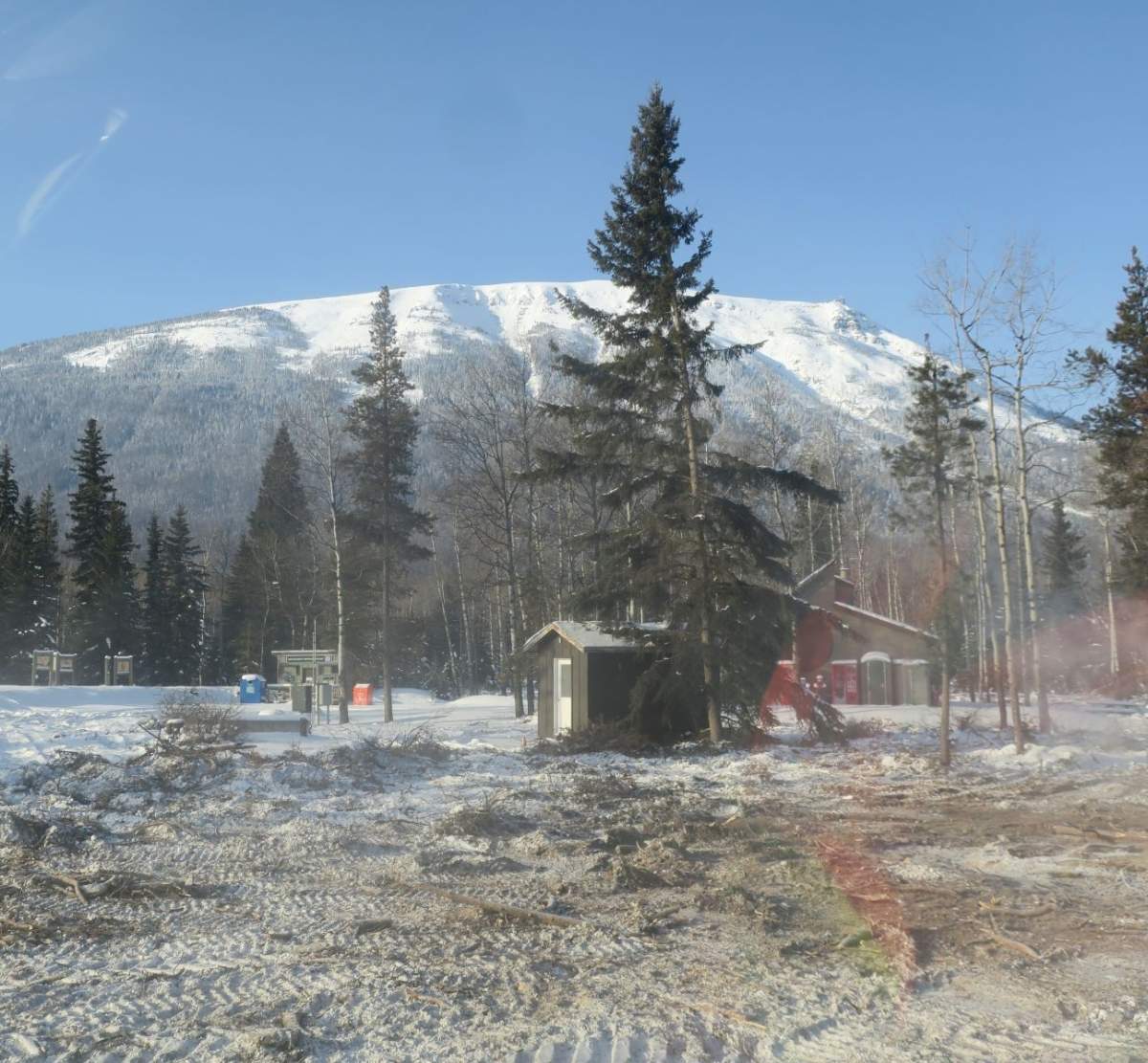 Dead and dying trees were removed from campgrounds in Jasper National Park ahead of the 2021 camping season.