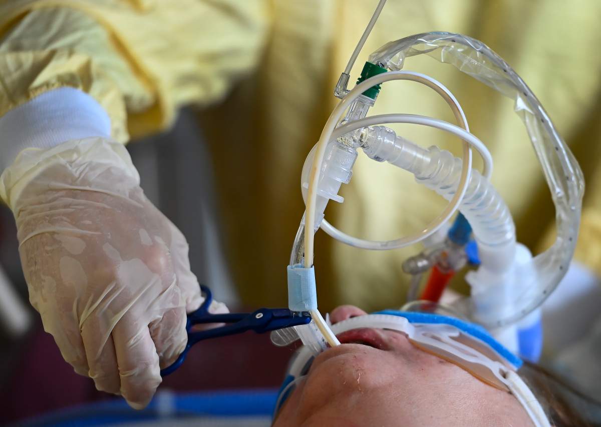 A group of doctors in Manitoba have written an open letter to Mantiobans pleading with the public to obey COVID-19 public health orders.