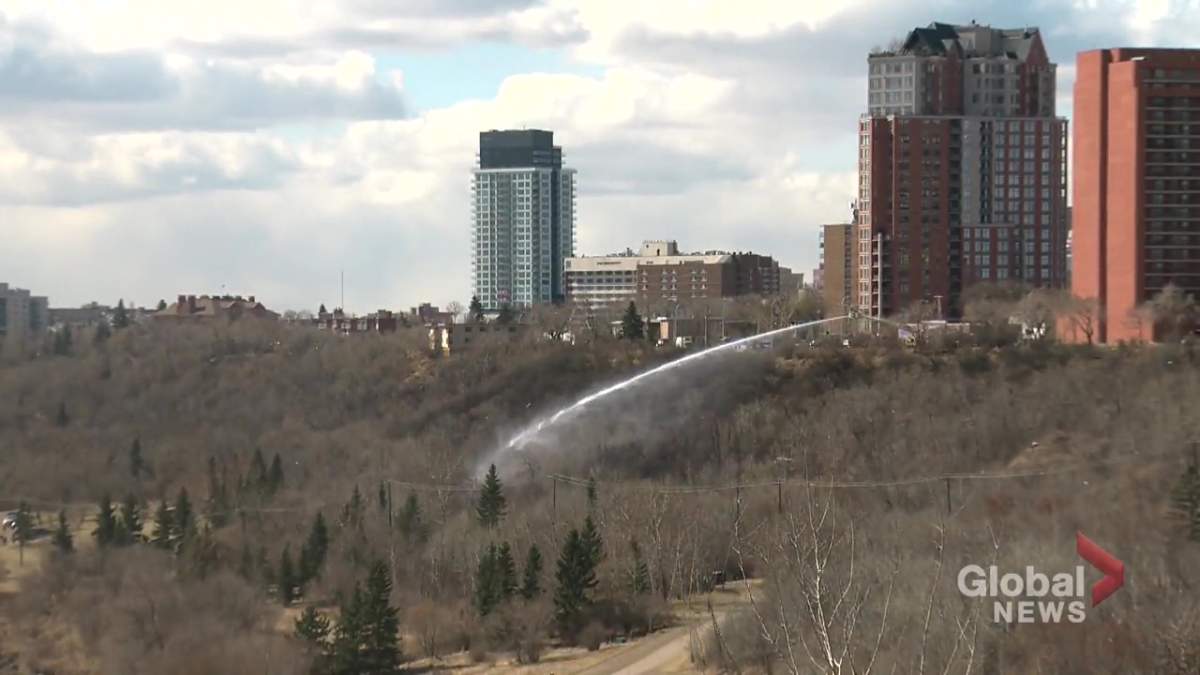 Edmonton firefighters using a ladder truck on Jasper Avenue to spray water on a grass fire in the steep, densely forested river valley below on Friday, April 23, 2021.