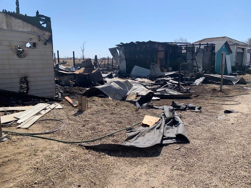 Brandon community raises money for local reptile farm devastated by fire - image