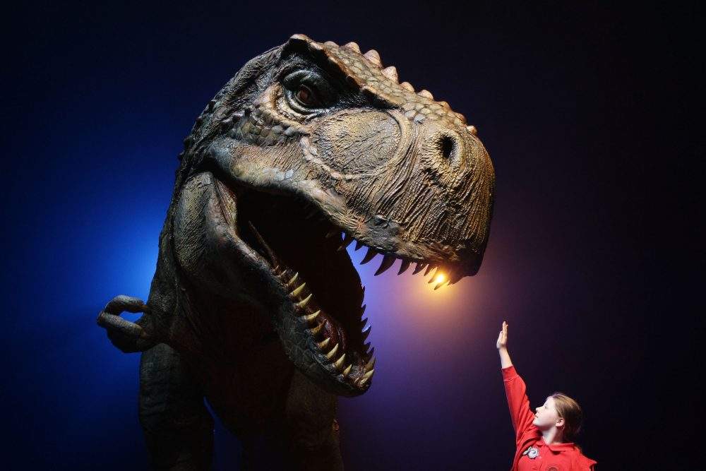 Girl gestures towards a Tyrannosaurus Rex at the media call for Walking With Dinosaurs - The Arena Spectacular at The Entertainment Quarter on Oct. 18, 2010 in Sydney, Australia. 