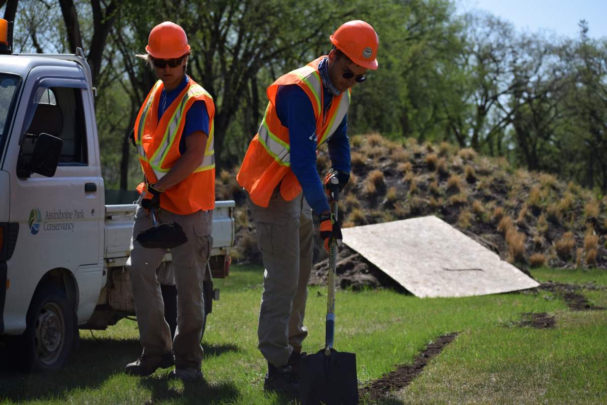 Workers in the gardens at The Leaf.