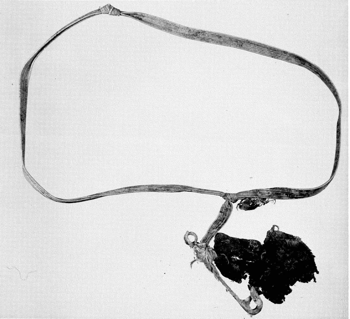 A crime scene photo of a belt found at the scene in Stanley Park