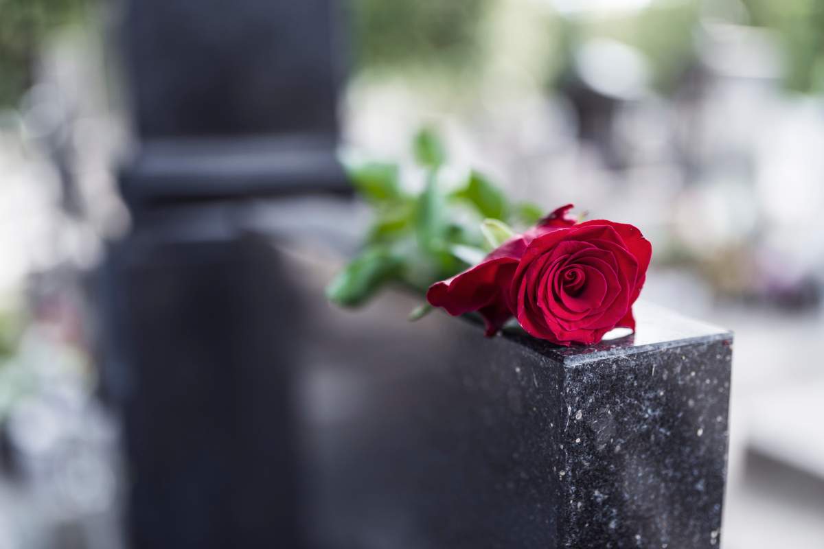 COVID-19: Outbreak declared after 14 cases linked to London funeral; dozens asked to quarantine - image