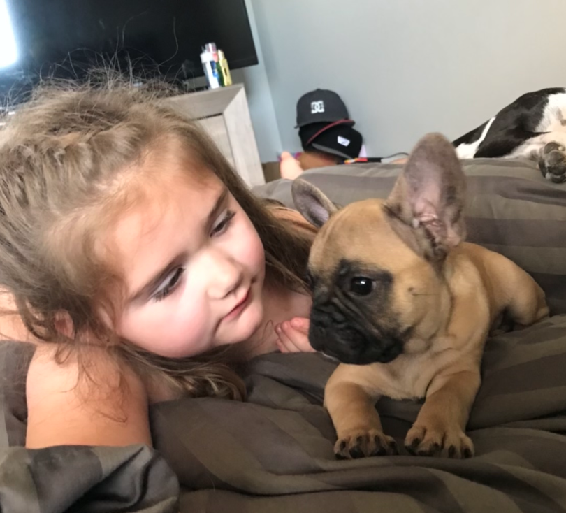 Ashley Anderson’s dog and child.