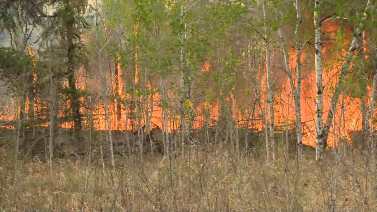 Steve Roberts said there were 137 active wildfires in the province Friday, which was eight more than Thursday.