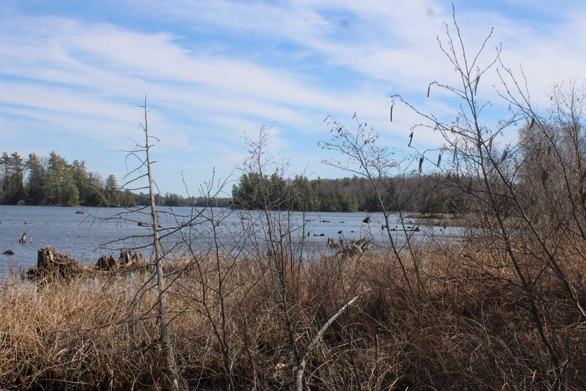 The Rideau Waterway Land Trust has acquired a new parcel of land at Chaffeys Lock for a nature reserve.