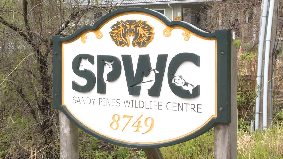Sandy Pines Wildlife Centre is offering a new course to help identify animals in distress.