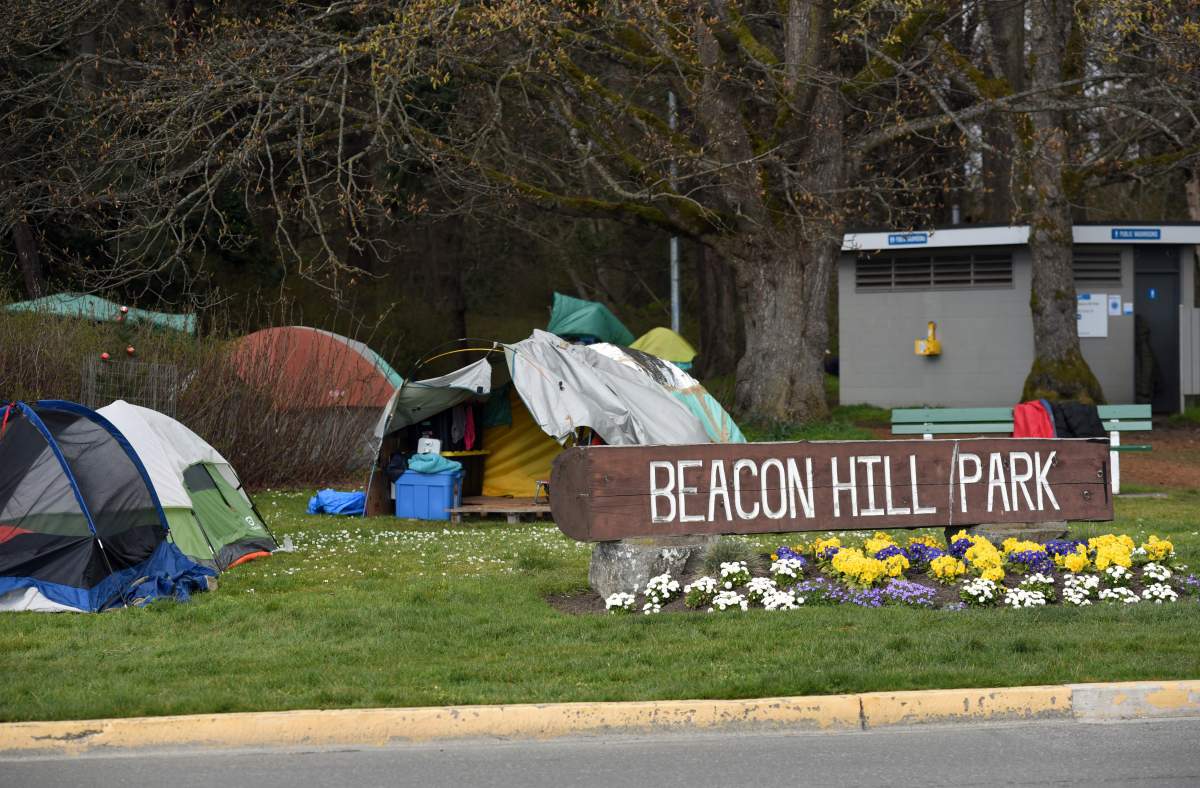 Tents belonging to homeless campers in Beacon Hill park