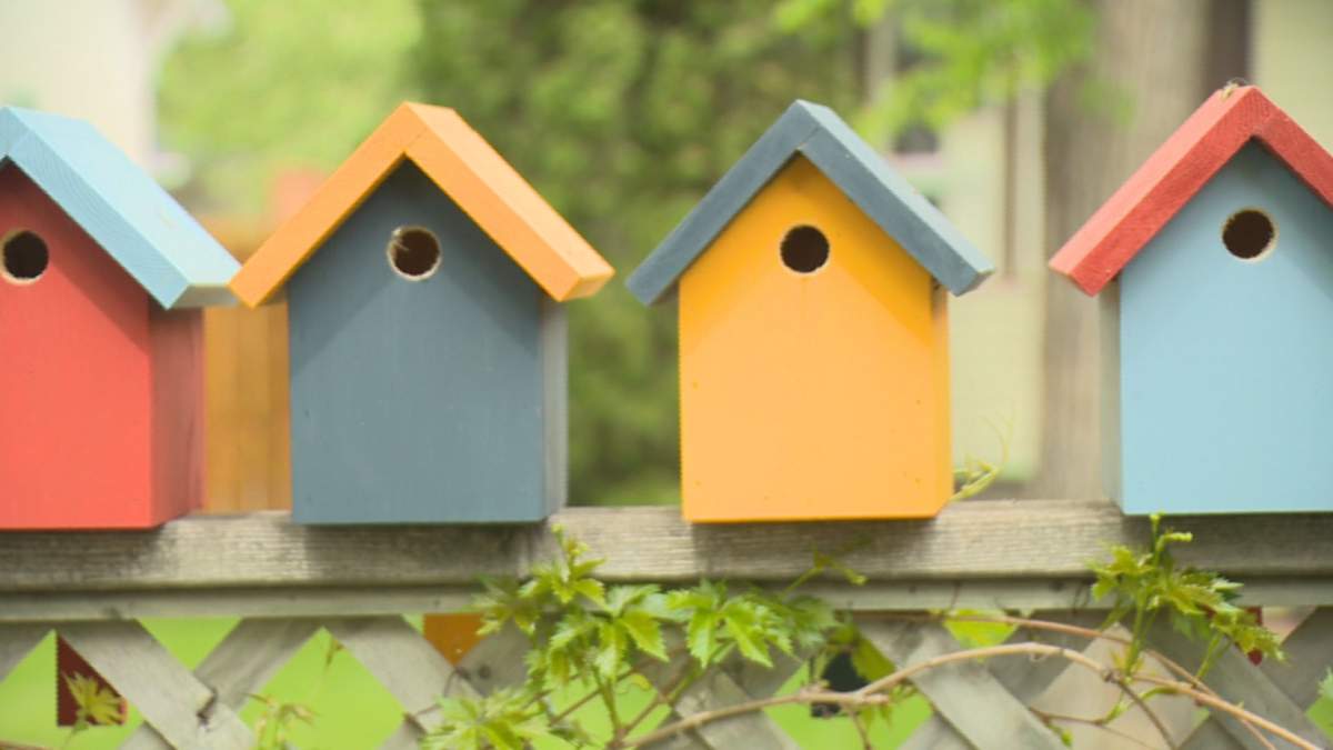 A Cathedral resident is distributing 50 birdhouses around the neighborhood thanks to a grant given by her local community association. 
